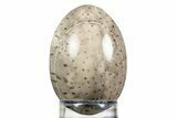 Polished Petrified Palmwood (Palmoxylon) Egg - Texas #308779-1